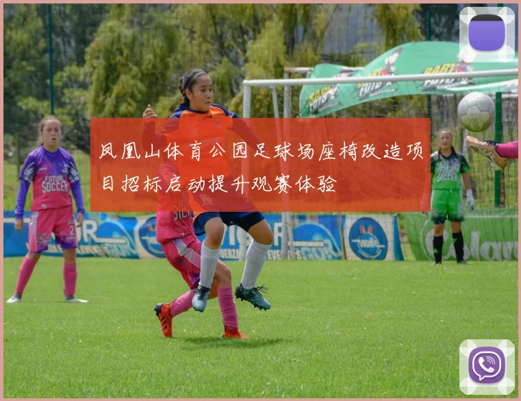 凤凰山体育公园足球场座椅改造项目招标启动提升观赛体验