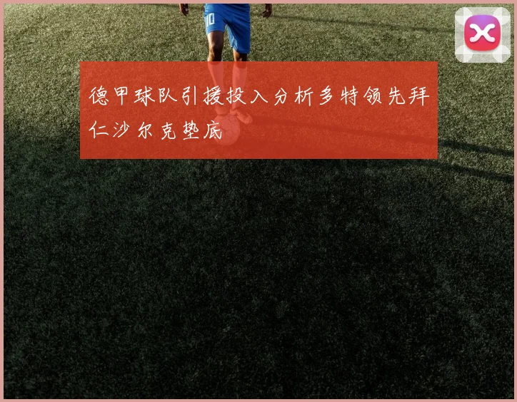 德甲球队引援投入分析多特领先拜仁沙尔克垫底