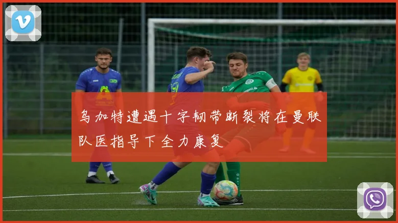 乌加特遭遇十字韧带断裂将在曼联队医指导下全力康复